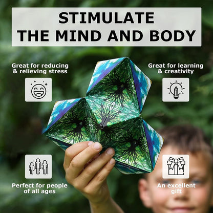 Shashibo Magnetic Shape Shifting Box